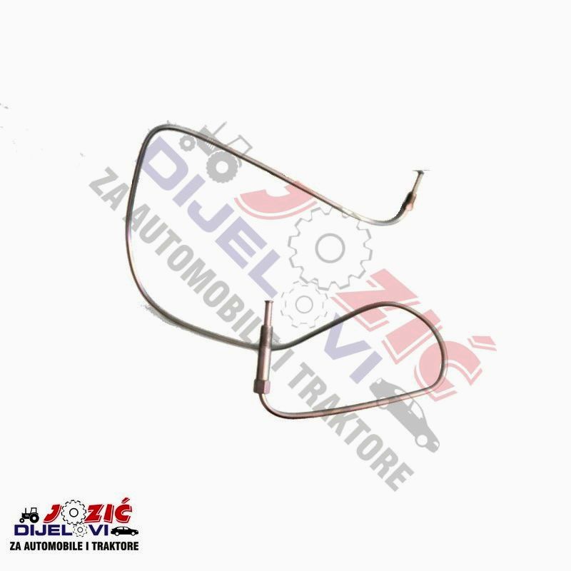 Daisy on the Ohoopee